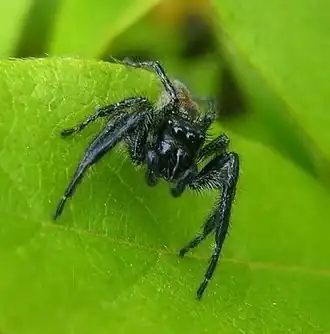Description de cette image, également commentée ci-après