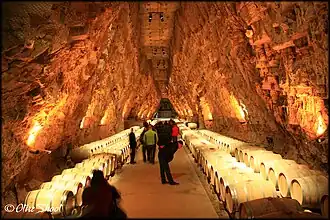 Image illustrative de l’article Le-pays-cathare (IGP)