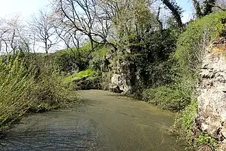 Ancienne carrière sur Mont-Saint-Saiveur