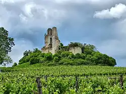 Les ruines du château de Gurson.