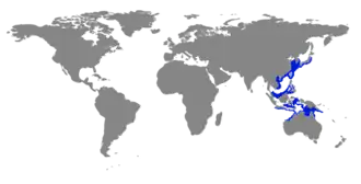 Description de l'image Carte_du_monde_zebre.png.