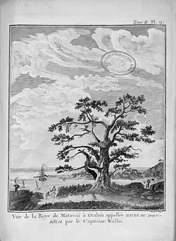 Baie de Matavai à O-Tahiti