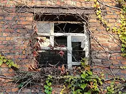 Détail d'une fenêtre.