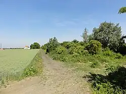 Embranchement ferroviaire vers les fosses nos&nbsp;2 - 7 puis 1.