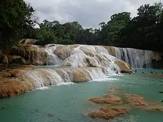 Gours des Cascades de Agua Azul au Mexique.