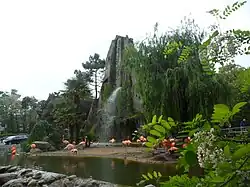 Le Zoo de la Palmyre aux Mathes.