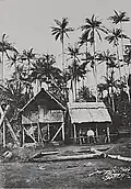 Une case créole entourée de palmiers à Terre Rouge à la fin du XIXe siècle