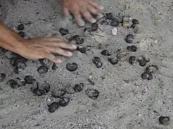 4. Les flammes sont éteintes dans le sable.