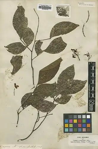 Description de cette image, également commentée ci-après