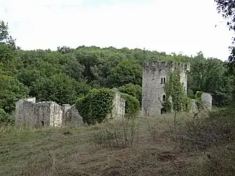 Image illustrative de l’article Château de Fontirou