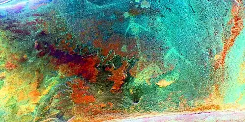 Détail des peintures rupestres (traitement numérique).