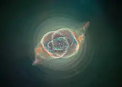 Nébuleuse de l'Œil de Chat, dans la constellation du Dragon.