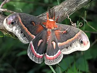 Description de cette image, également commentée ci-après