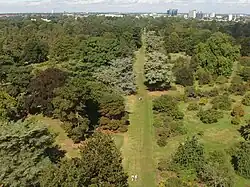Vue NW de l'allée des cèdres depuis la pagode