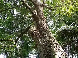 Description de cette image, également commentée ci-après