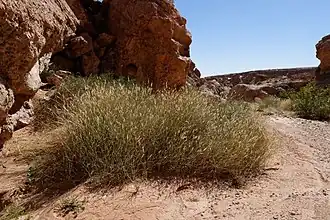 Description de cette image, également commentée ci-après