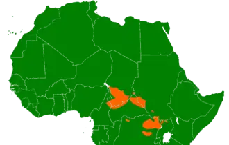 Image illustrative de l’article Langues soudaniques centrales
