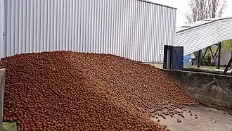 Stock de boules de fer pour concassage du charbon