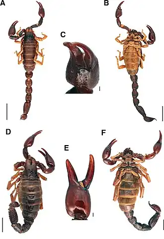 Description de cette image, également commentée ci-après
