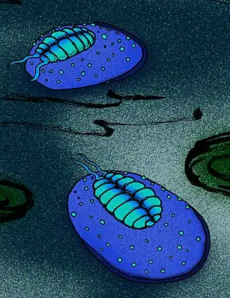 Description de cette image, également commentée ci-après