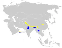 carte de répartition de Cephalopyrus
