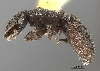 Description de cette image, également commentée ci-après