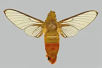 Description de cette image, également commentée ci-après