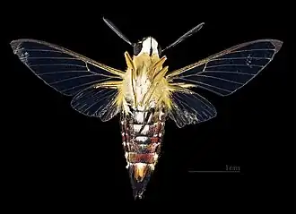 Description de cette image, également commentée ci-après