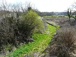 Le lit asséché du ruisseau le Cerf à Razac-sur-l'Isle. Vue prise vers l'amont, au pont de la route départementale 6089.