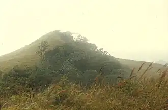 Santos Michelena (municipalité)