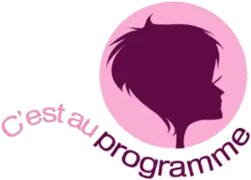 Logo de l'émission de 2003 à janvier 2018.