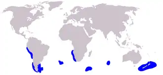 Description de l'image Cetacea_range_map_Dusky_Dolphin.PNG.