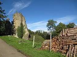 Vestiges du Donjon du château fort de Chateau-Chalon (IXe, XIIIe et XVe&nbsp;siècles)
