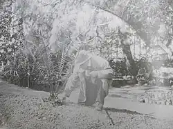 Un homme avec chapeau et imperméable long, Alphonse Denis, est agenouillé devant une plante exotique qu'il entretient. En fond de photographie, grilles, tables et chaises de jardin et pots.