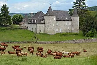 Image illustrative de l’article Château d'Entraygues (Boisset)