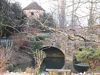 Le fossé du château d'Igé.