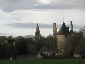 Image illustrative de l’article Château de Bois-Sire-Amé