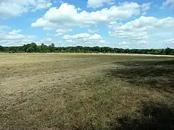 Photographie en couleurs d'une vaste étendue d'herbe rase limitée au loin par des arbres.