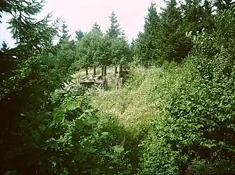 Image illustrative de l’article Château de Faîte