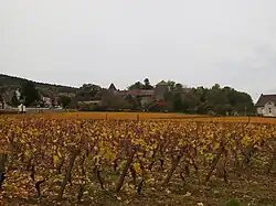 Château et domaine viticole.