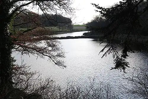 Les étangs de Kerguéhennec.