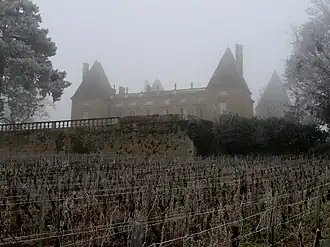 Image illustrative de l’article Château de Layé