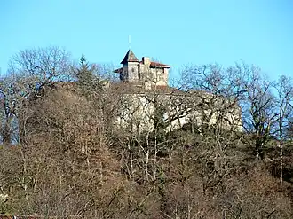 Image illustrative de l’article Château de Montégut-en-Couserans