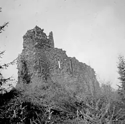 Le château en 1970 avant l'écroulement du donjon.