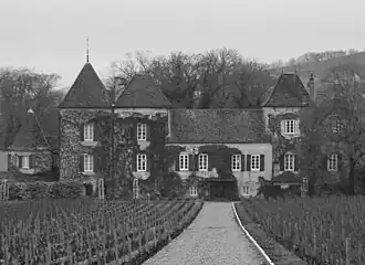 Image illustrative de l’article Château de la Commaraine