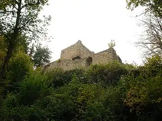 Image illustrative de l’article Château de Hagueneck