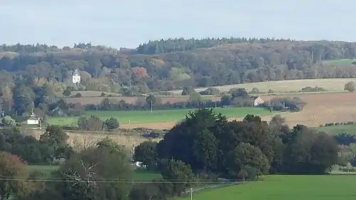 Château du Plessis-Bardoult et son bois - Vu de Saint-Malo-de-Phily