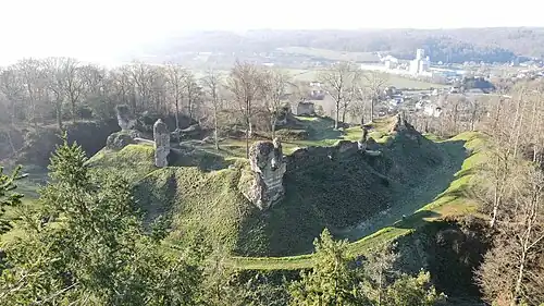 English: Château médiéval Anglo/Normand XIe/ XIIe contemporain de la période ducale. Inscrit à l'inventaire supplémentaire des monuments historiques, édifice implanté sur 4,6 hectares.  Importants vestiges de tours, courtines, donjon, basses cours et fossés.