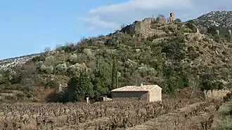 Ruines du château de Castelmaure.