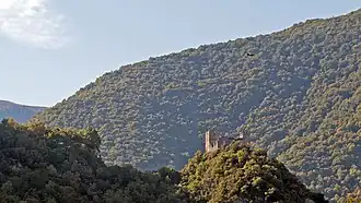Un vautour survole la vallée.